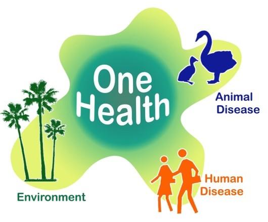 Burkina Faso: One Health training offered in Bobo Dioulasso