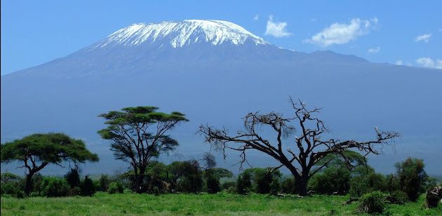 Comment le Fonds mondial de lutte contre les pandémies peut se montrer à la hauteur de son grand potentiel | Avis