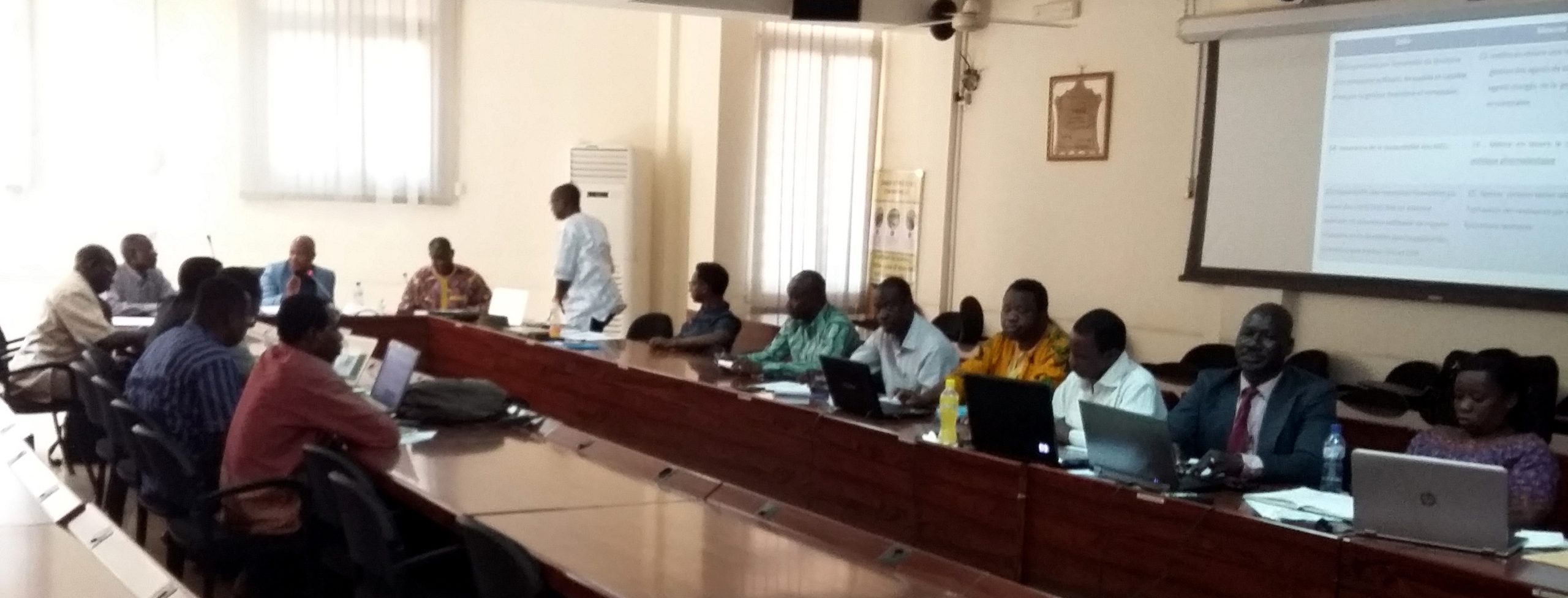 Validación del SNFS-CSU de Burkina Faso en la segunda reunión del Comité Directivo