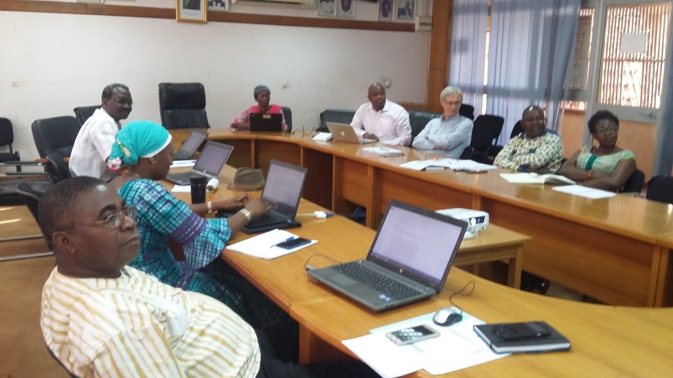 Sharing the roadmap for developing the SRMNEAN Burkina Faso investment file