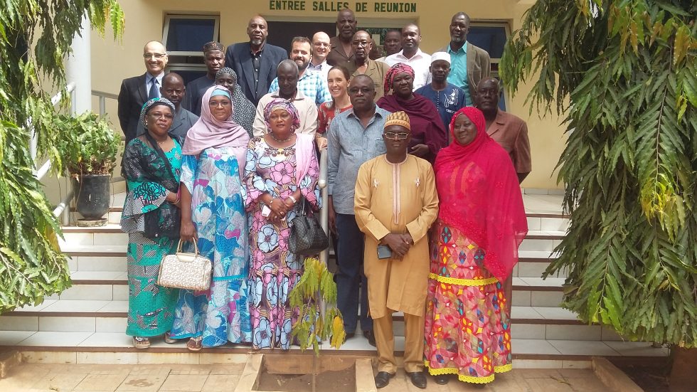 CSU strategy drafting workshop in Niger