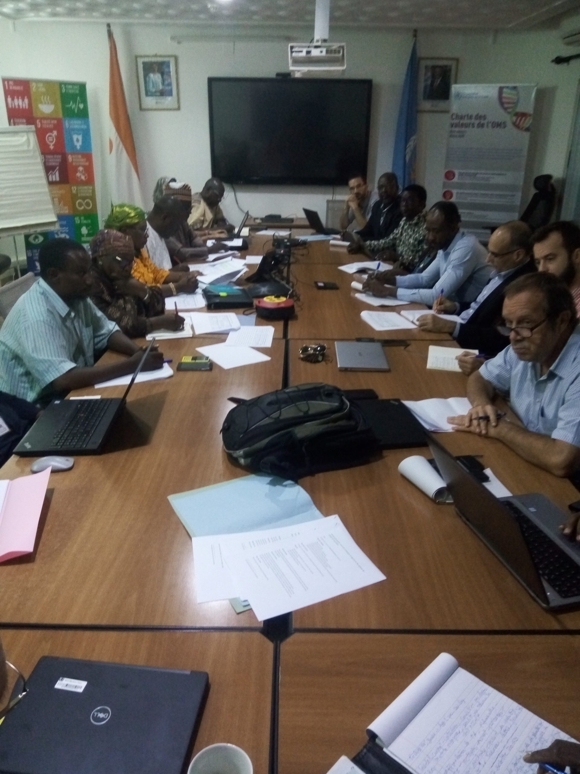 Reunión de expertos para revisar el sistema sanitario gratuito de Níger