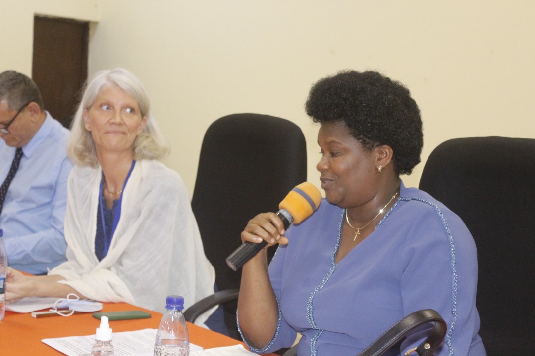 Burundi: Reunión del Marco de Coordinación de los Socios para la Salud y el Desarrollo