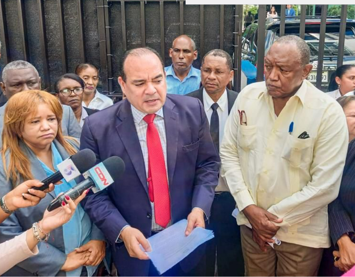 The Dominican Bar Association called on the National Social Security Council to provide coverage to independent professionals.