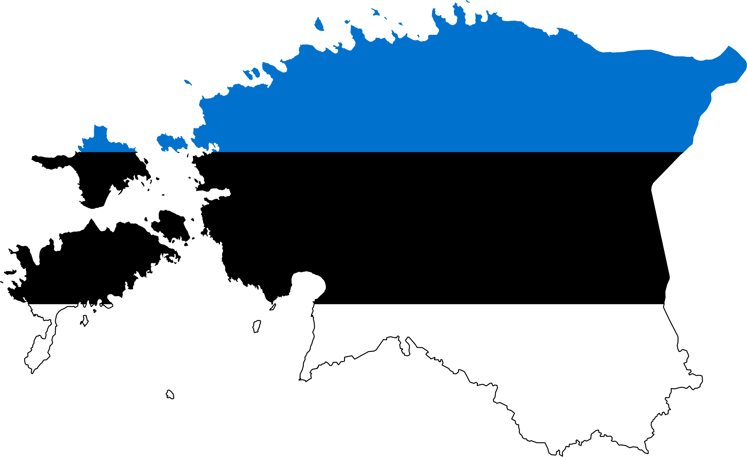 Насколько далека Эстония от всеобщего охвата услугами здравоохранения? Исследовательская работа