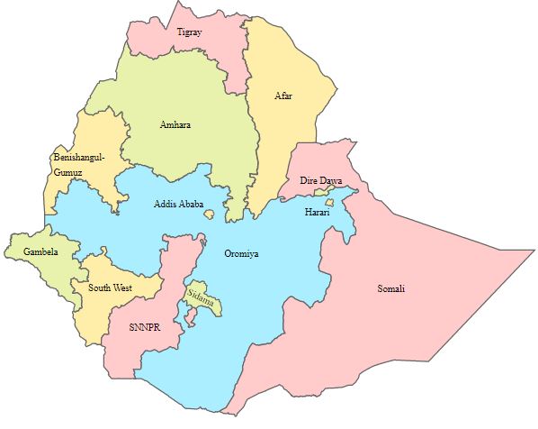 Progrès en matière de santé dans les régions d’Éthiopie, 1990-2019 : une analyse infranationale par pays