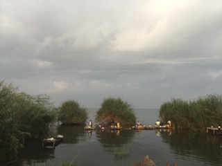 CFP Burundi-Cameroon collaboration