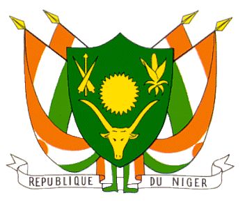 NIGER: Scoping meeting on health financing