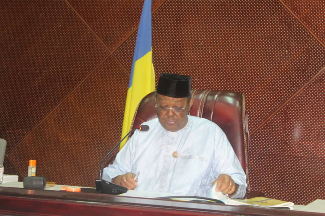 CSU au TCHAD: Promulgation of law n°026 creating the National Health Insurance Fund (CNAS)