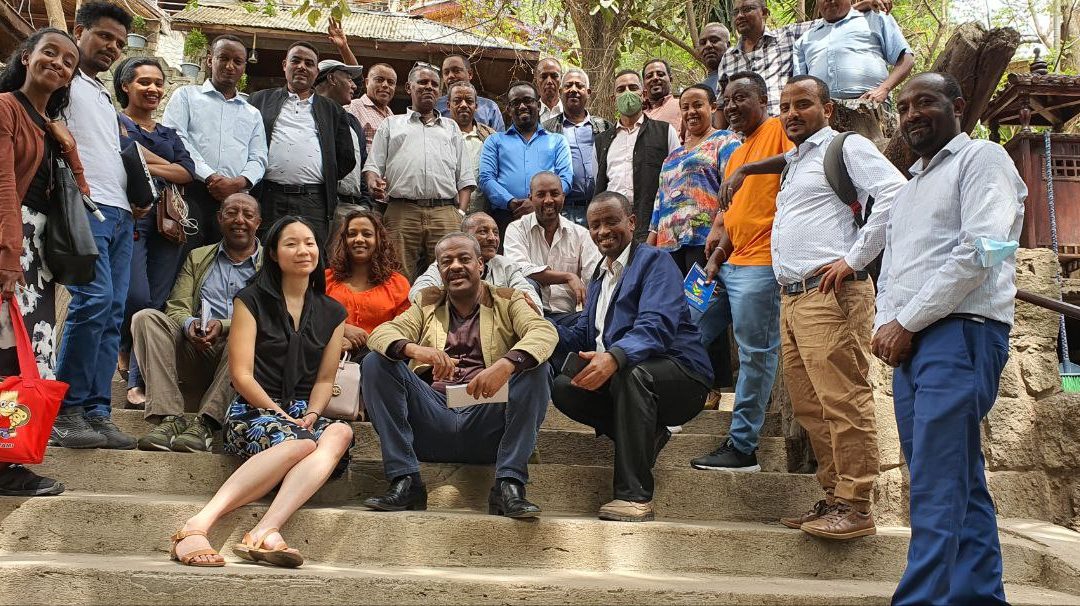 Health Financing for UHC training co-organized by WHO and WB under the umbrella of the P4H Network in Ethiopia