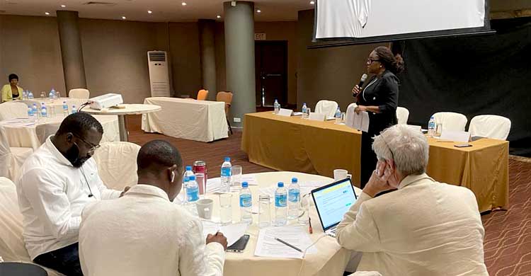 Validation par les parties prenantes de l’évaluation et des recommandations de la GOPA sur la mise en œuvre de l’assurance maladie sociale en Sierra Leone (SLeSHI) financée par GiZ BACKUP Health