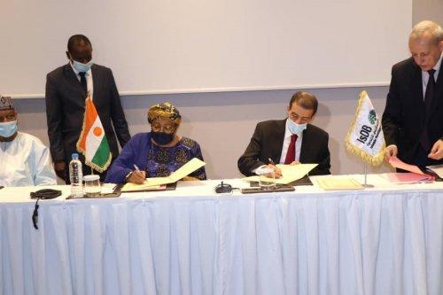 Niger-Covid19: IDB offers 1.7 billion CFA francs