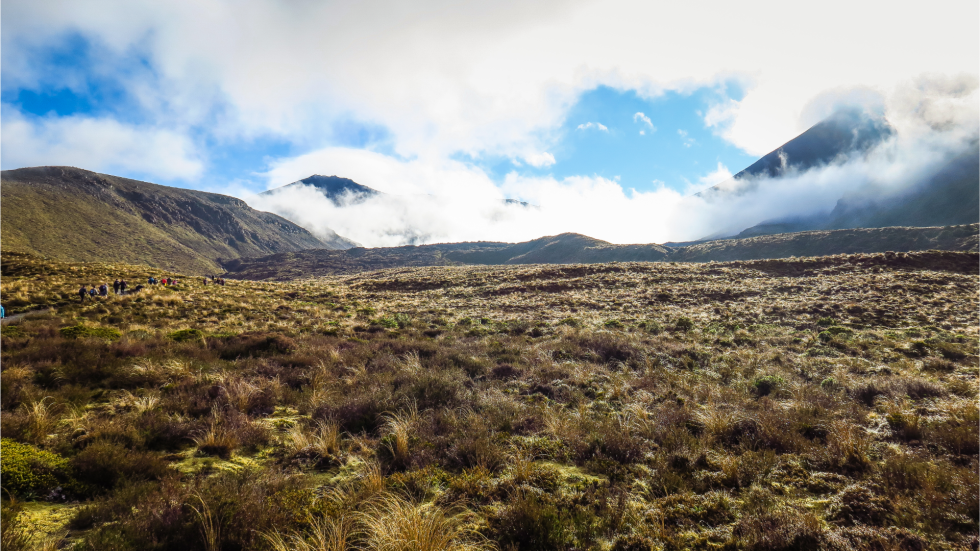 New Zealand has allocated $22 million to fund health services for Māori