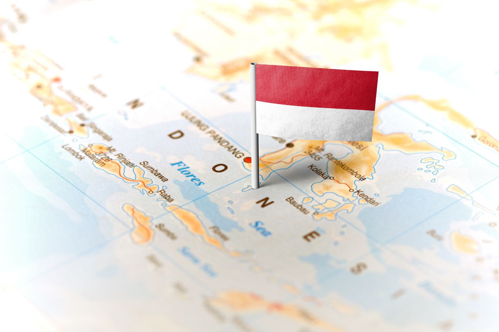 Доступен новый документ по анализу распространенности льгот в Индонезии