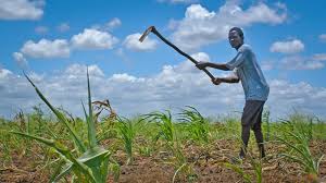 New study highlights the relevance of social determinants of health in Mozambique