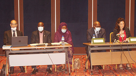 Niger: Restitution of the I3S project and presentation of INAM