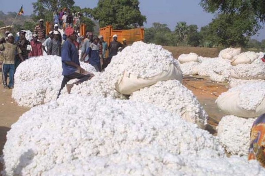 Côte d’Ivoire: Séguéla cotton growers invited to enroll en masse in the CMU scheme