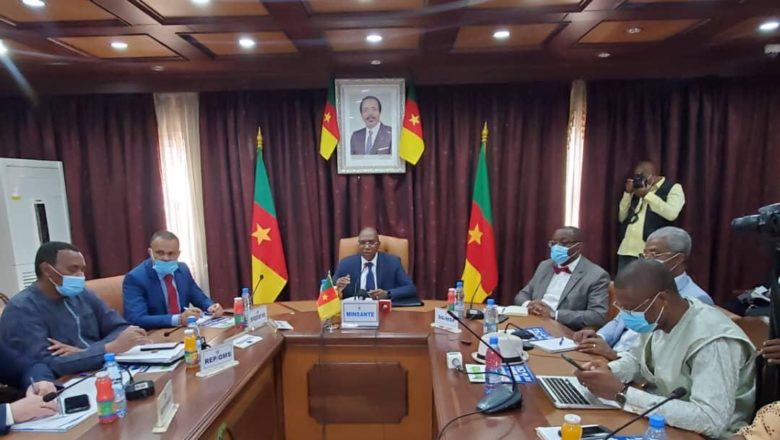 Camerún: Las partes interesadas afinan la estrategia gubernamental de respuesta al coronavirus