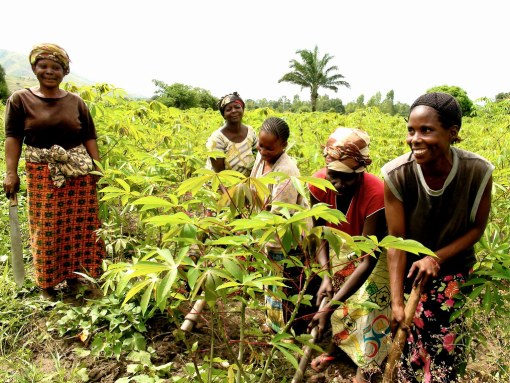Costa de Marfil: Hacia la extensión de la CMU a los agricultores