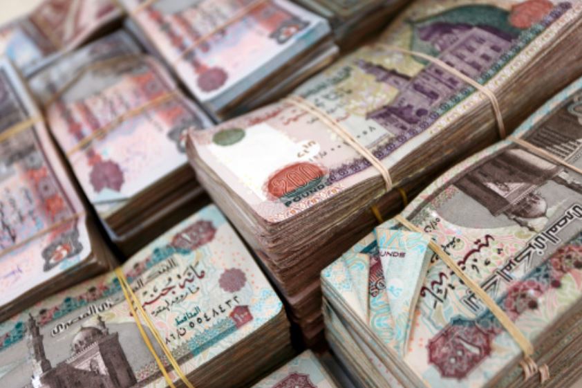 Additional EGP260 million allocated to healthcare in Egypt in FY2020/2021 due to COVID-19