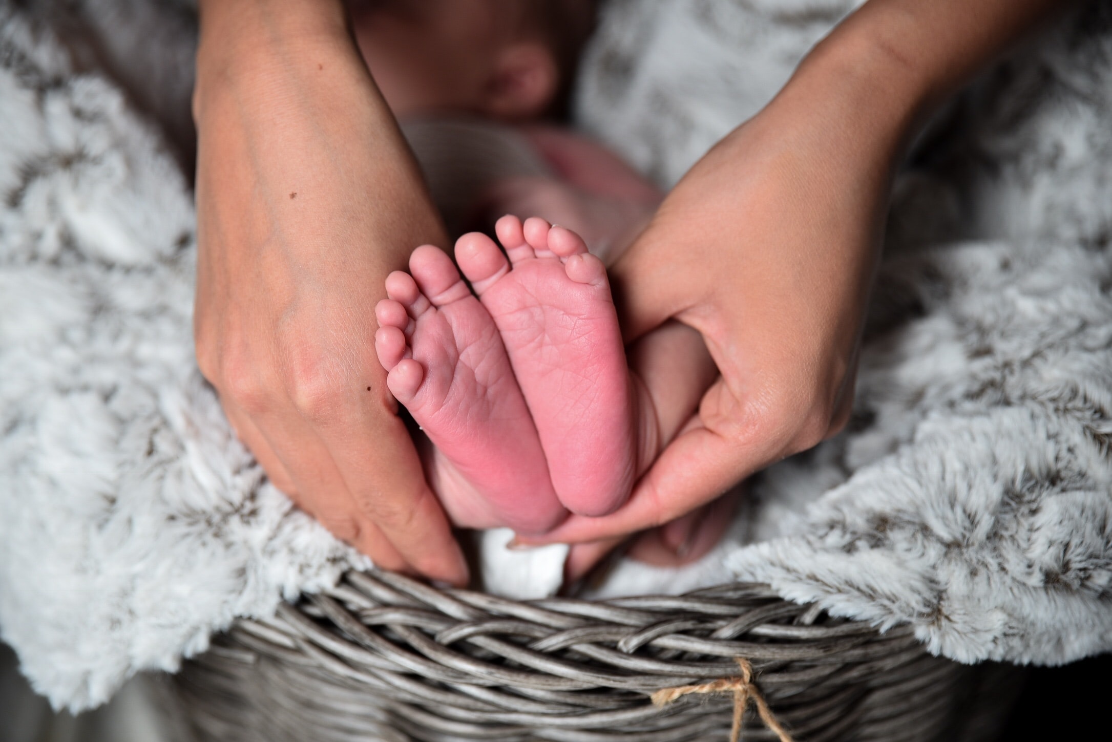 A Review of the Impact of Financing Mechanisms on maternal health in Australia