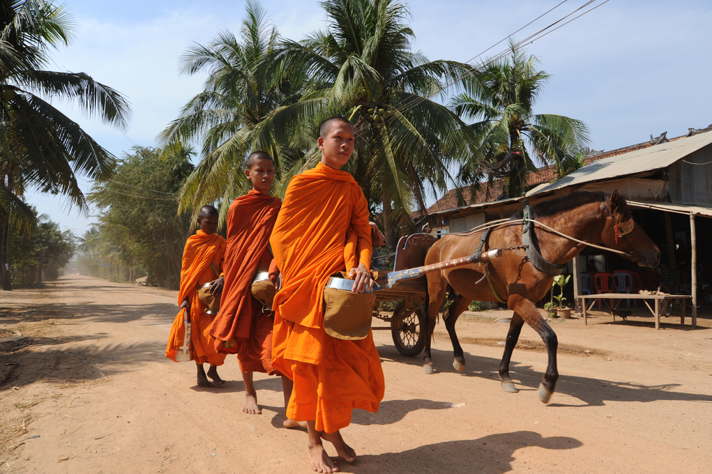 Совместная миссия сети P4H в Сенегал – декабрь 2009 г.