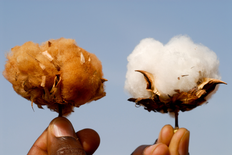 Sharing documents: the real challenges for Burkina Faso’s Ministry of Health according to the TFPs