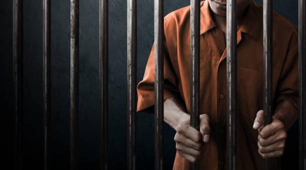 istockphoto-868384894-612×612-2.jpg