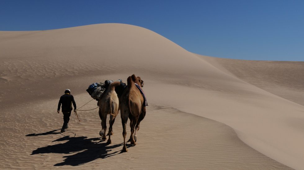 Who is bearing the financial burden of non-communicable diseases in Mongolia?