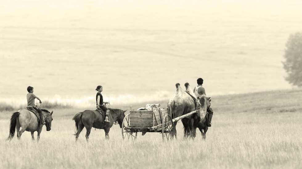 Who bears the financial burden of NCDs in Mongolia?