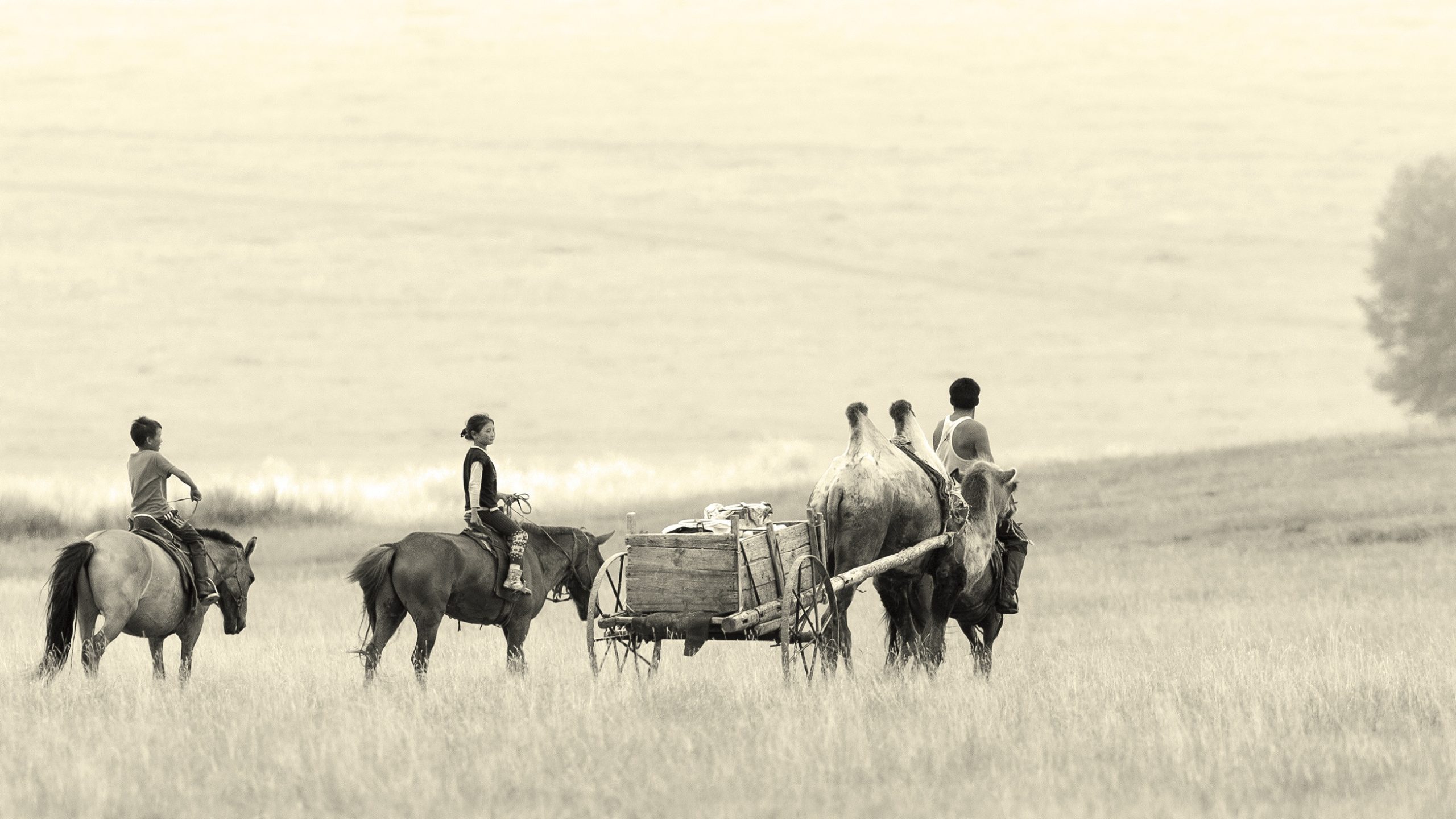 mongolia20ncd-1.jpg