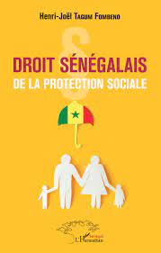 Meeting of the Social Protection thematic group