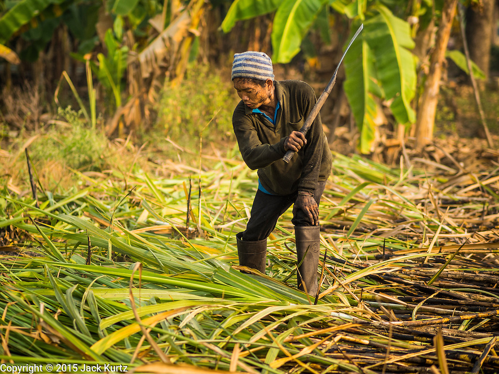 Le ministère du travail envisage de vacciner les travailleurs migrants étrangers couverts par le régime de sécurité sociale