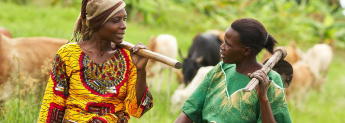 CAMEROON: GENDER INEQUALITY IN THE HEALTH SECTOR CONTRARY TO POLITICAL DECLARATIONS