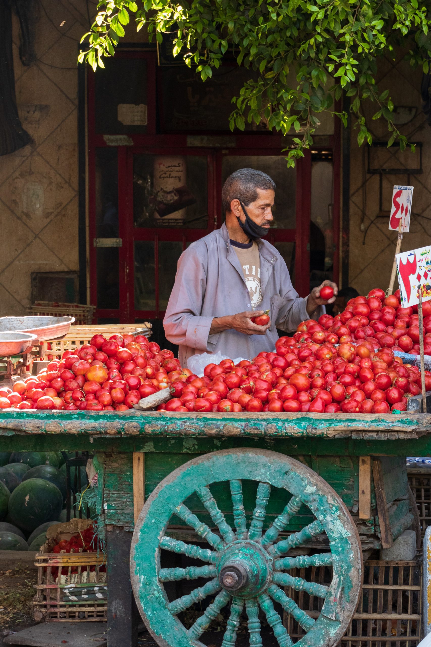 Universal Health Insurance in Egypt: Informal Workers’ Perspective