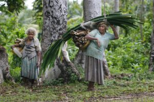 Social protection expenditure in Pacific Island Countries and Timor-Leste