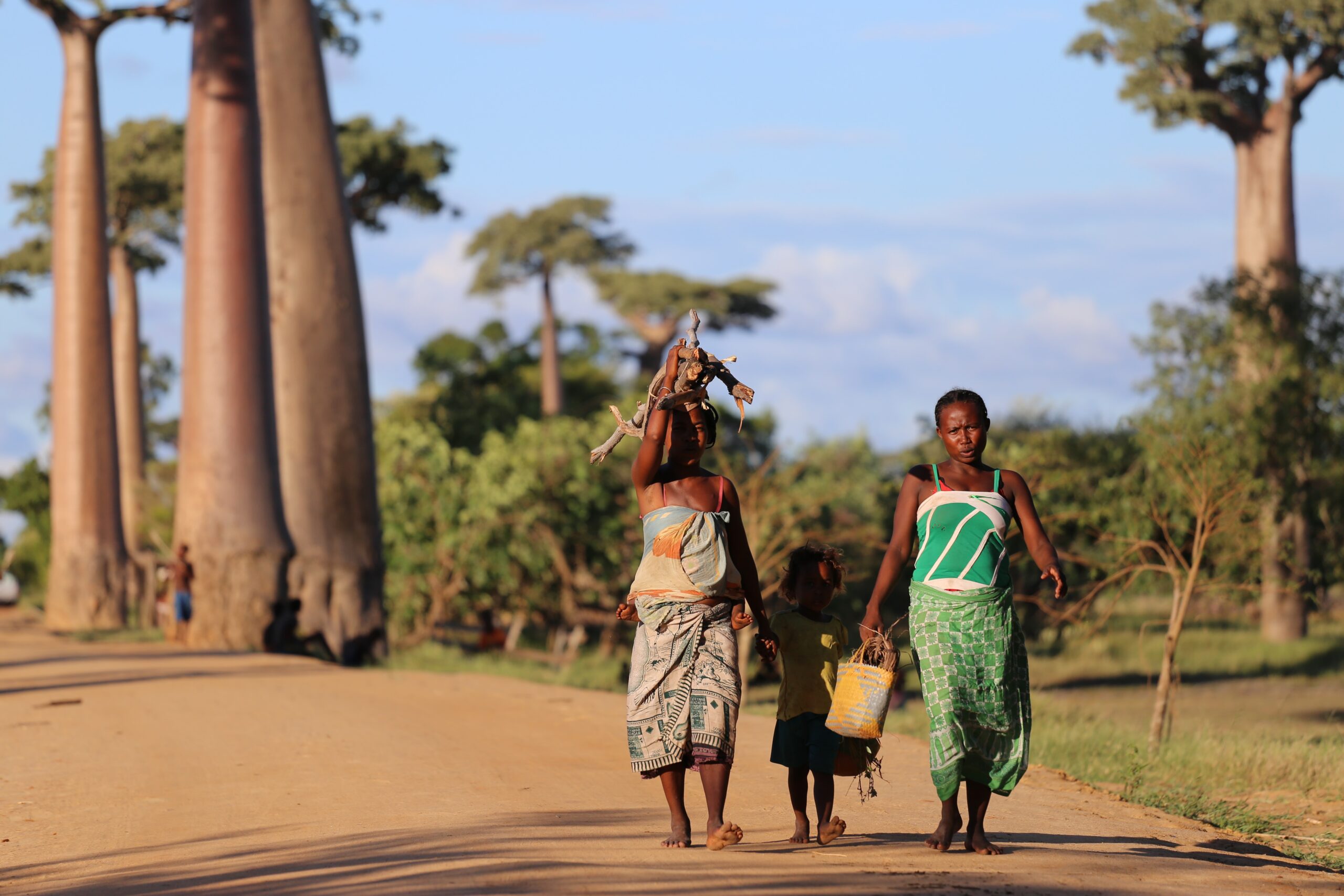 Revenue-raising potential for universal health coverage in Benin, Mali, Mozambique and Togo