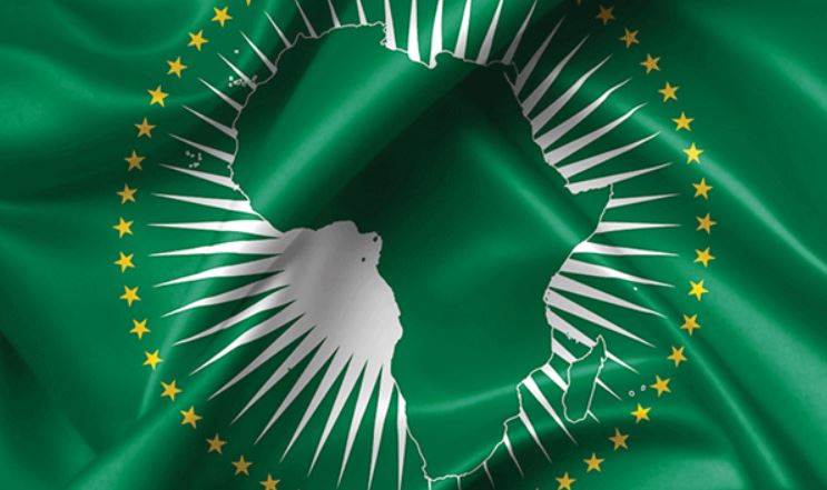 The African Union in the G20: What Will the Implications Be For Health Financing in Africa?