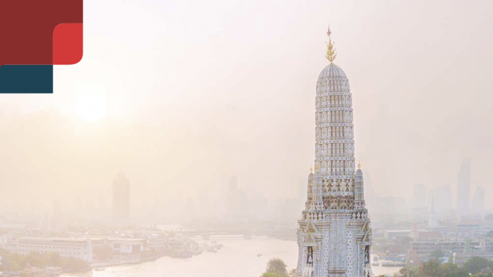 Годовой обзор сети P4H – 2021-2022 гг.