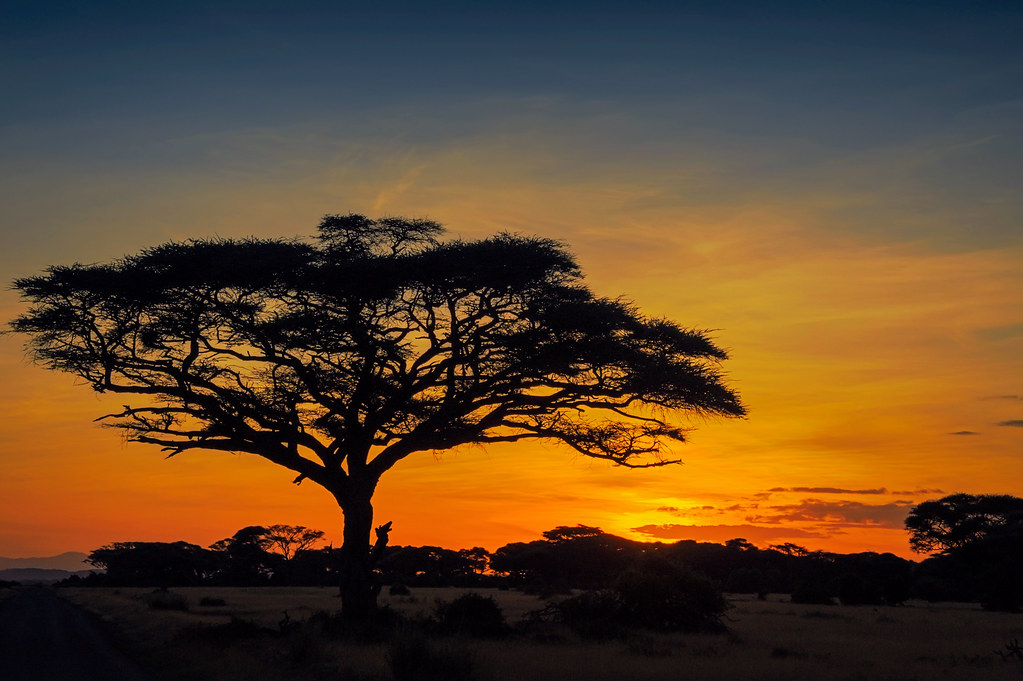 Кения: Высокий суд приостанавливает реализацию Закона о социальном медицинском страховании