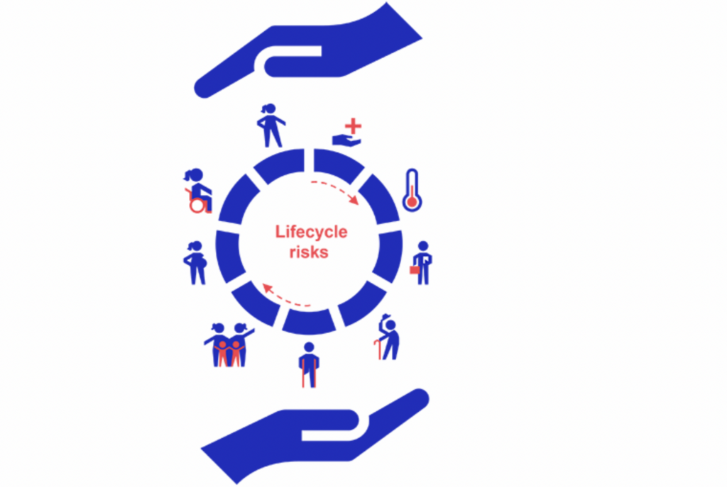 p4h_life-cycle-risks_2024