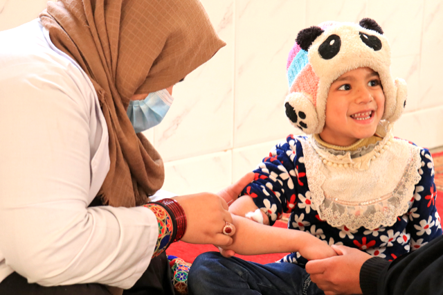 Government purchase of private health services in the Eastern Mediterranean Region