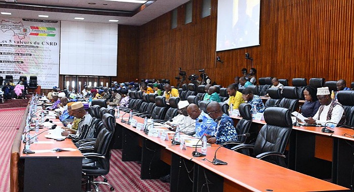 Guinea: Transition adopts financing agreements for health security