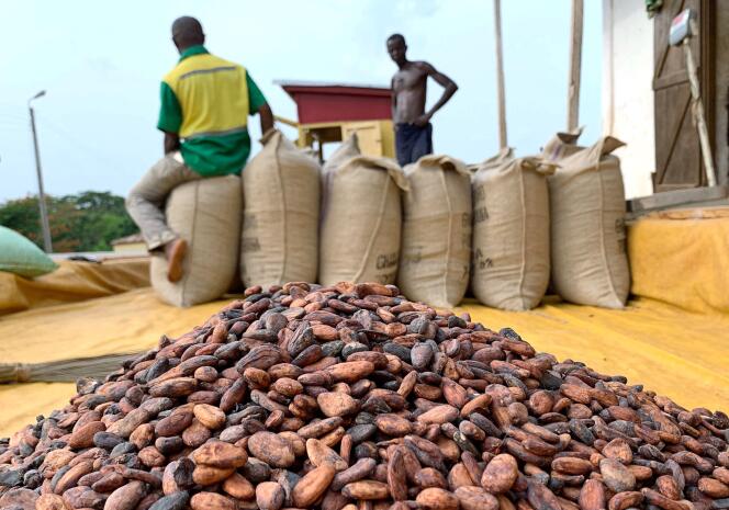 Free CMU for Ivorian cocoa and coffee producers