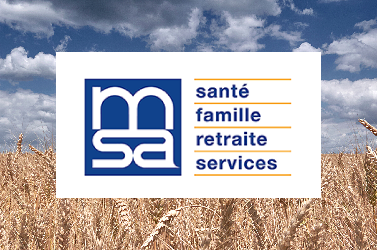 CCMSA представляет отчет “Расходы и доходы 2025”