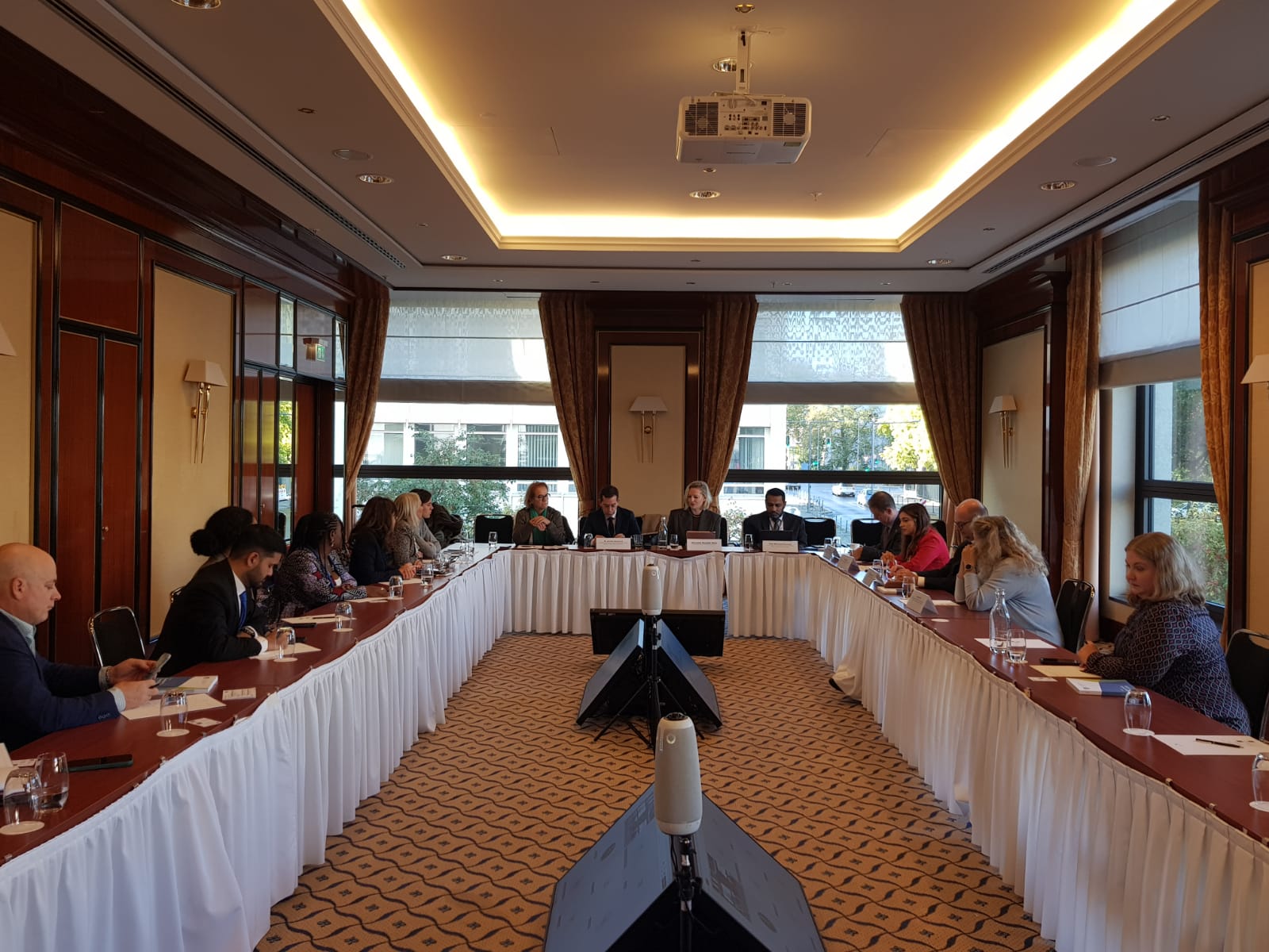 Why prioritise rare diseases?