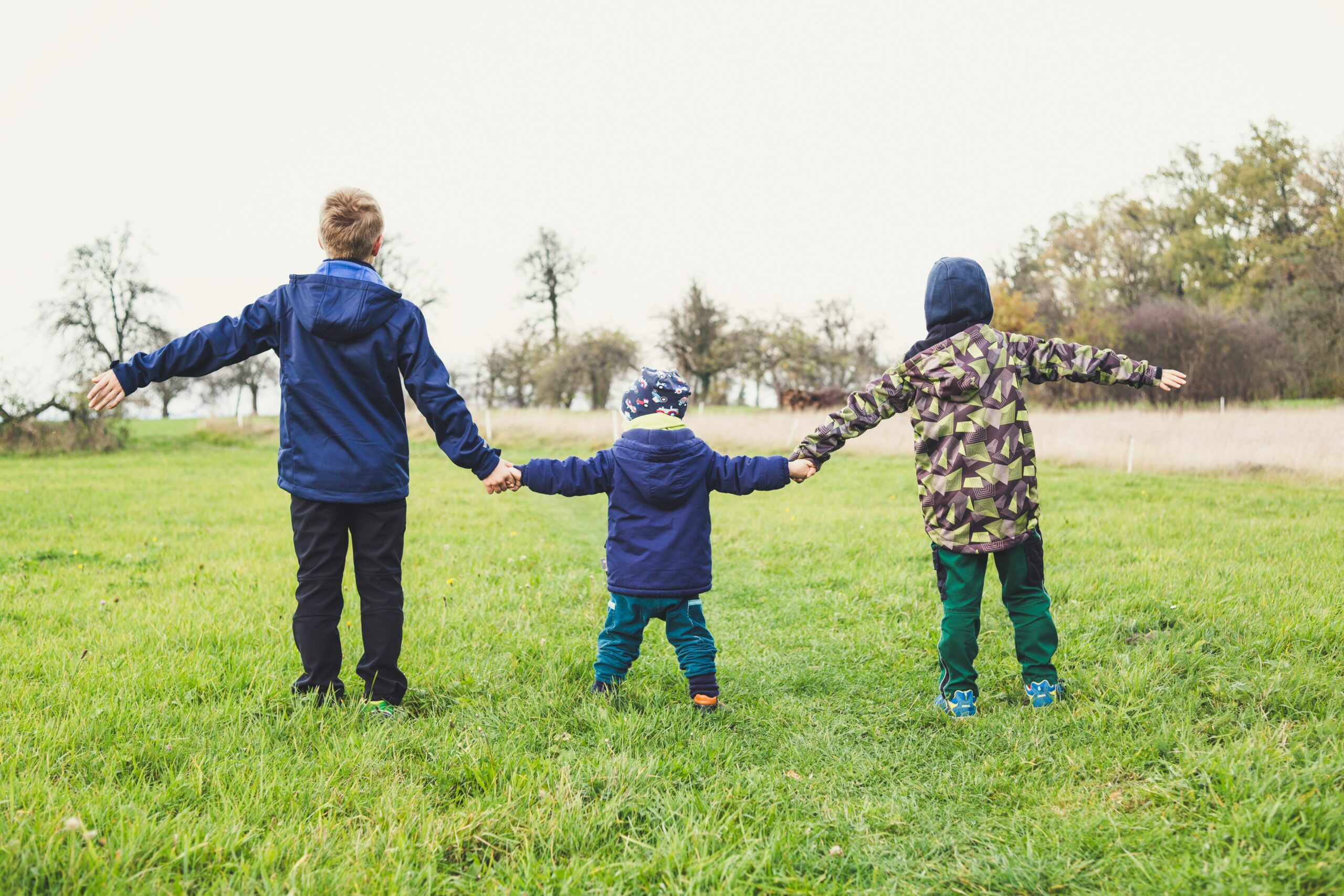 Loi islandaise sur l’intégration des services dans l’intérêt de la prospérité des enfants (“loi sur la prospérité”)