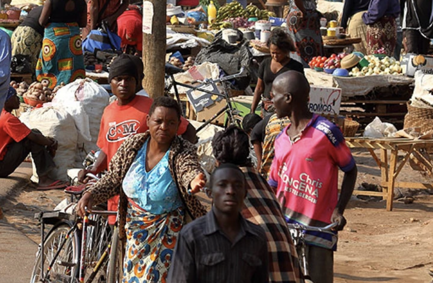 Cultivating resilience: How Malawi can transform social protection and end poverty