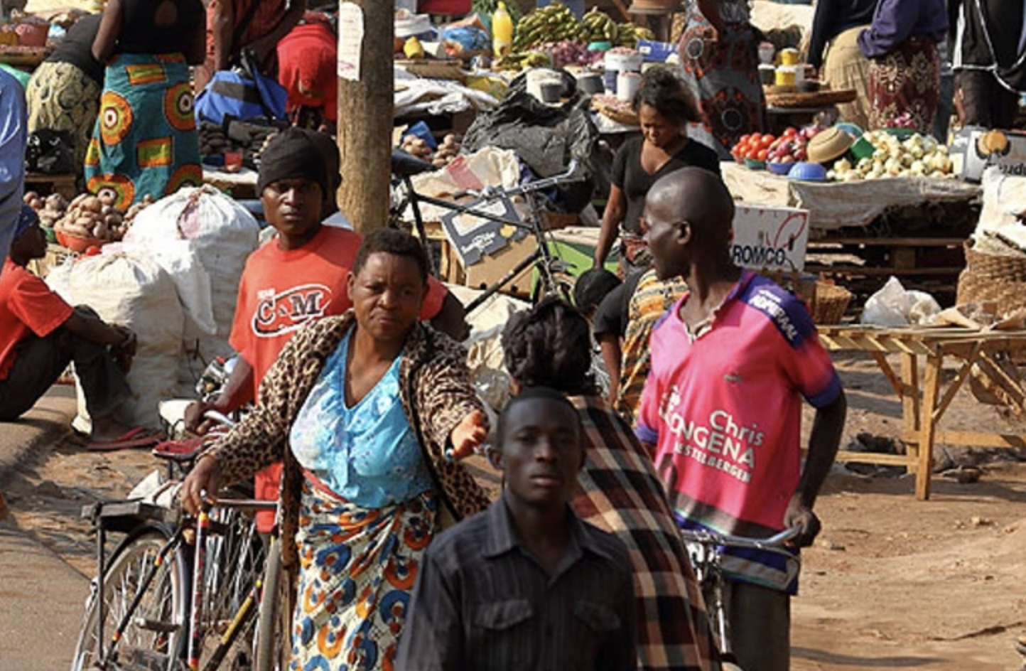 Cultivar la resiliencia: Cómo Malawi puede transformar la protección social y acabar con la pobreza