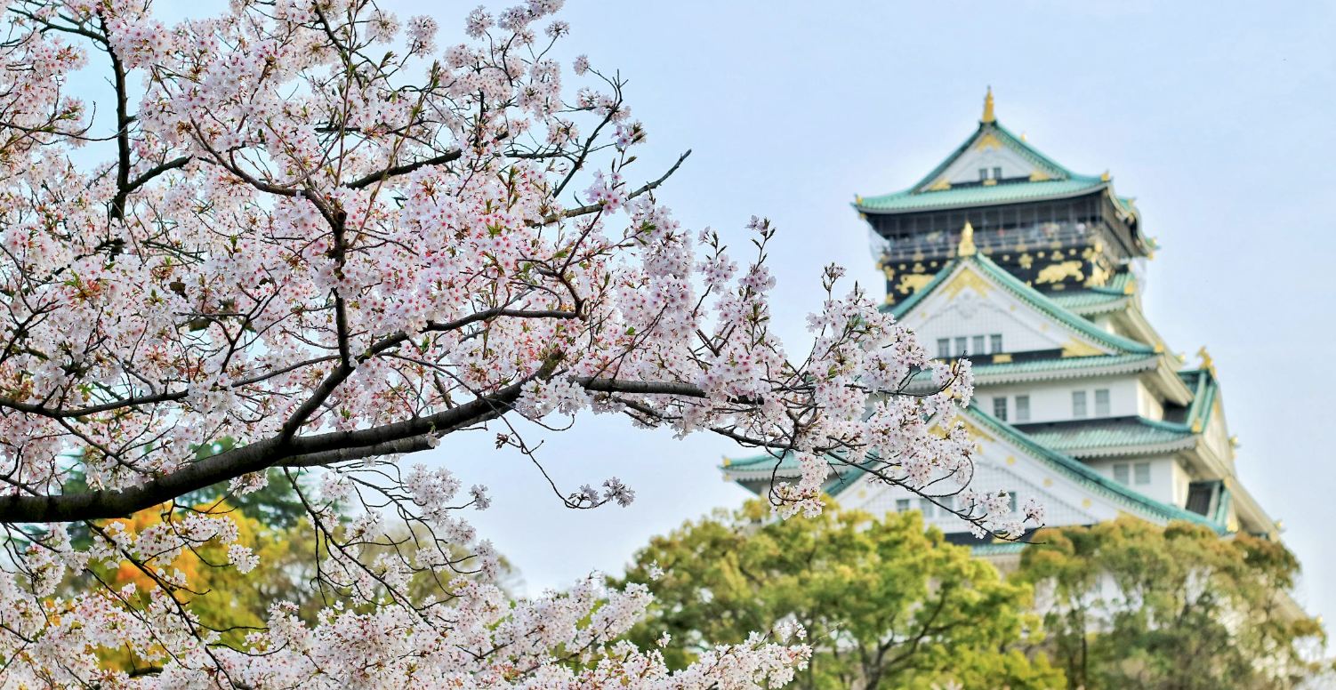 Contener los costes y orientar a médicos y hospitales hacia objetivos políticos en Japón